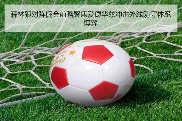 森林狼对阵掘金前瞻聚焦爱德华兹冲击外线防守体系博弈